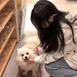 火光四射游戏内购破解版下载